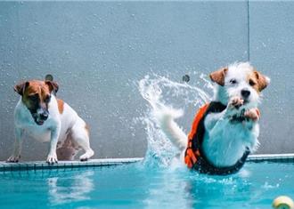 深圳迷你仓大数据公司：领航自助仓储产业，开启全周期服务新篇